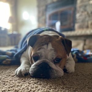 Meet your Posher, Kaitlyn